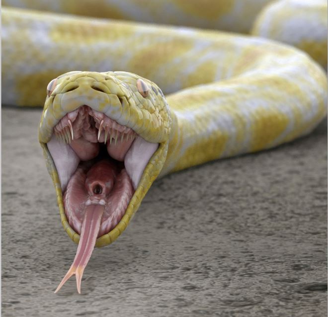 Britney Spears / Possible Productions imagen de serpiente amarilla con la boca abierta sobre suelo árido, hecho en 3d.