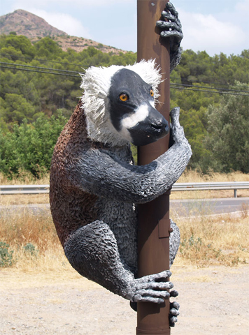 Megaládapis de resina/ Museo conservacionista de Madagascar