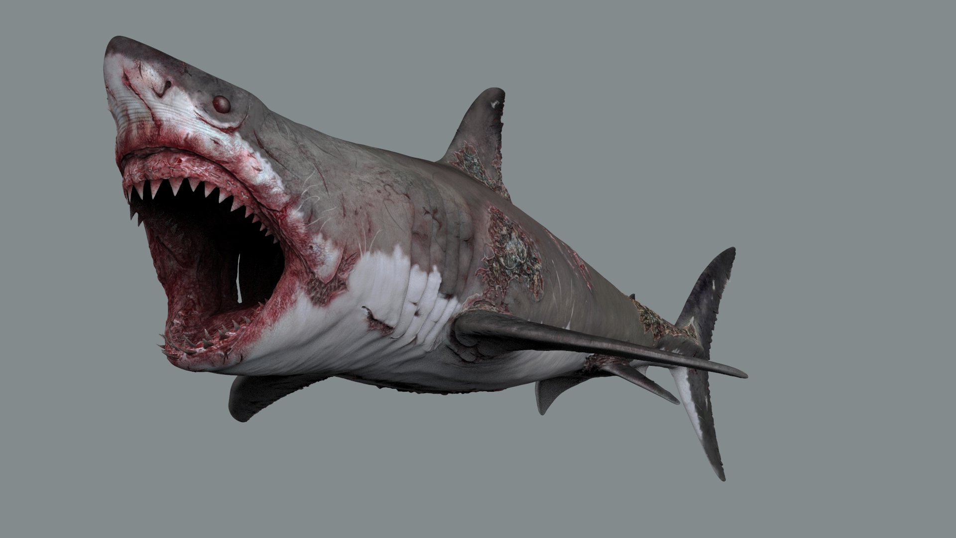 Zoom 100 / Megalis 3D modelling - zombie shark