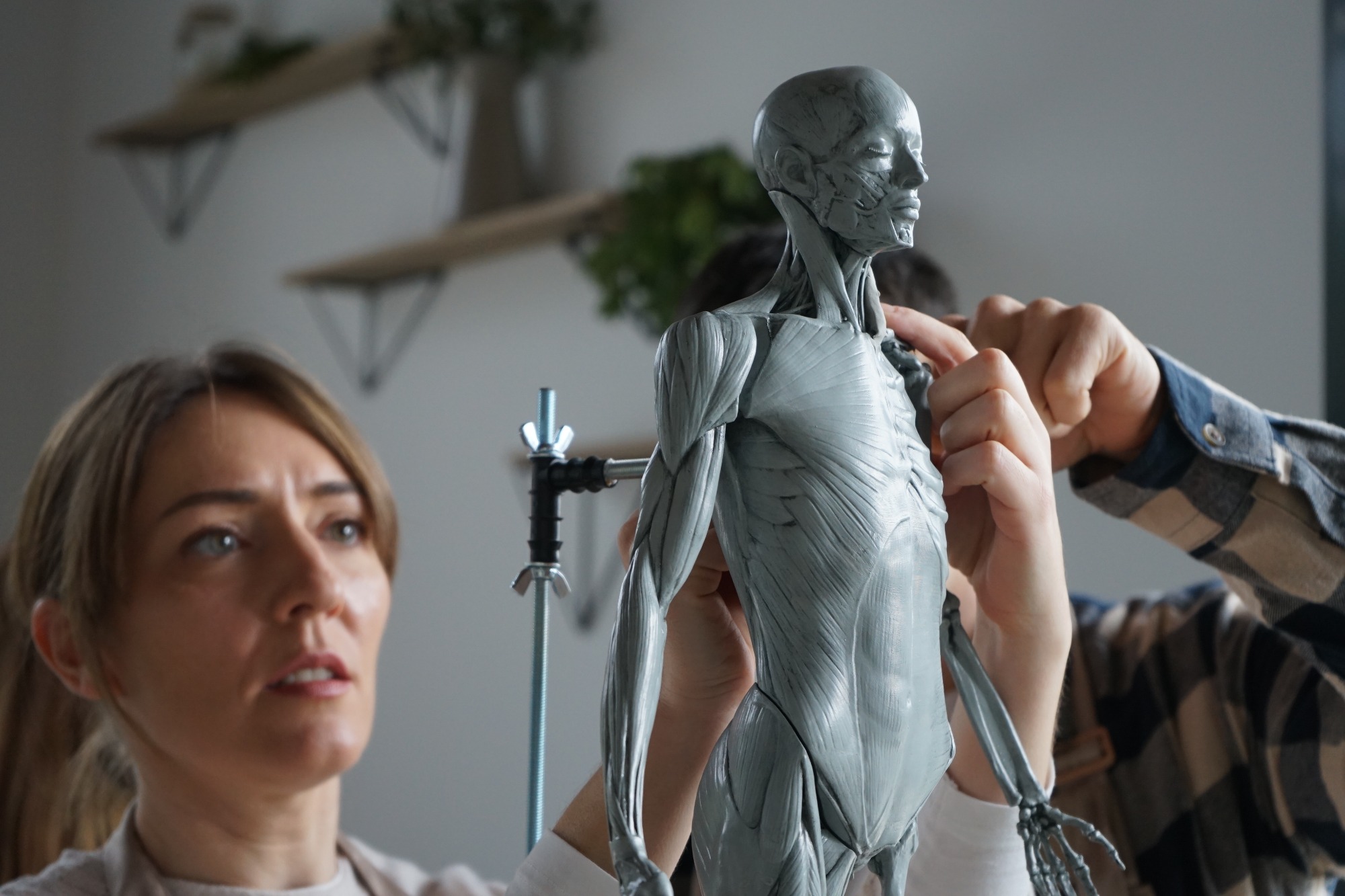 modelo anatómico para aprendizaje /Rafa Zabala Anatomy